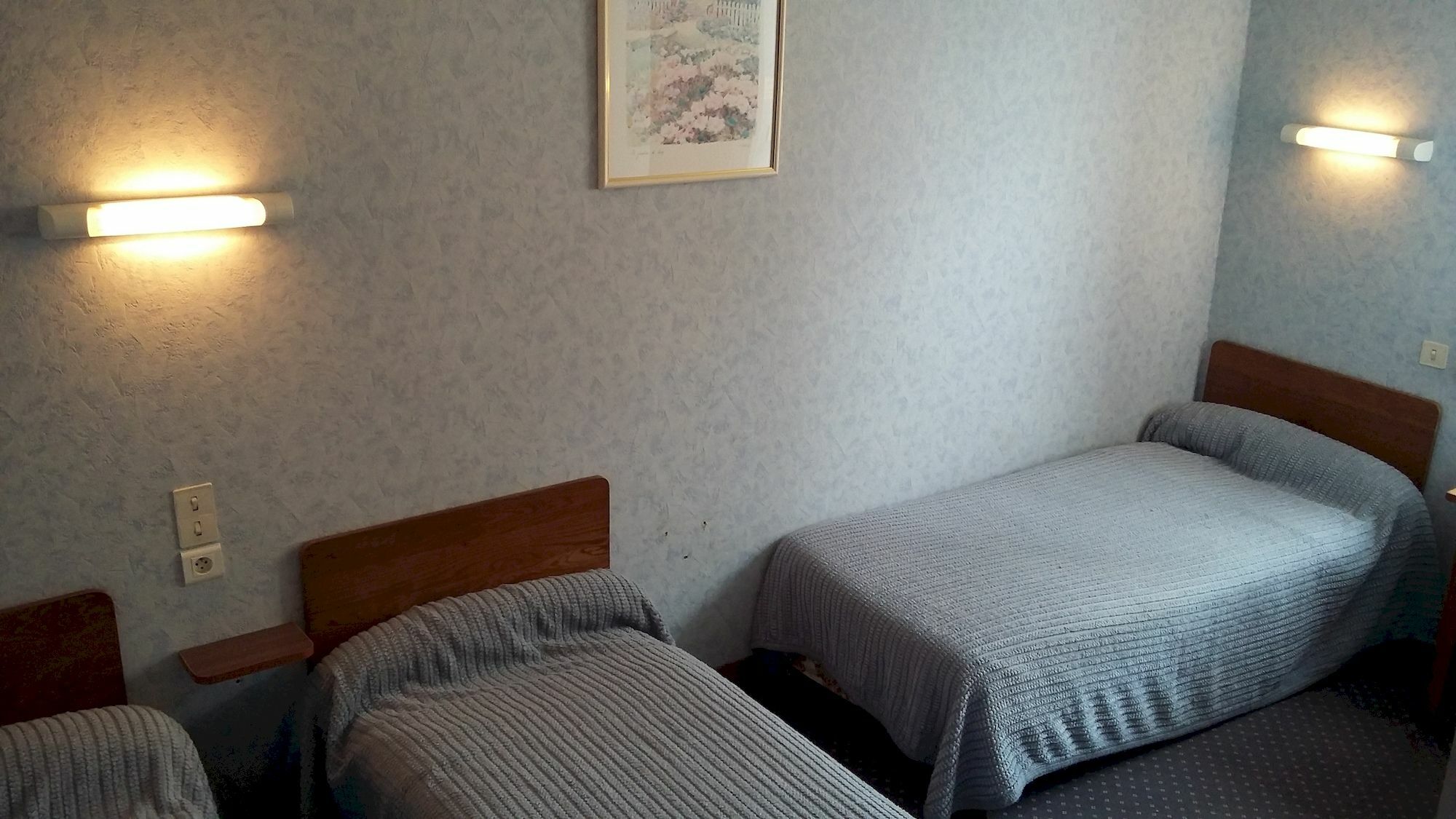 Hotel Du Viscos ルルド エクステリア 写真